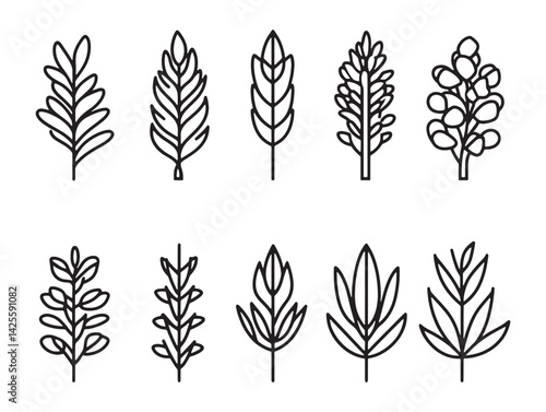 Detailed pearl barley sketch in black and white