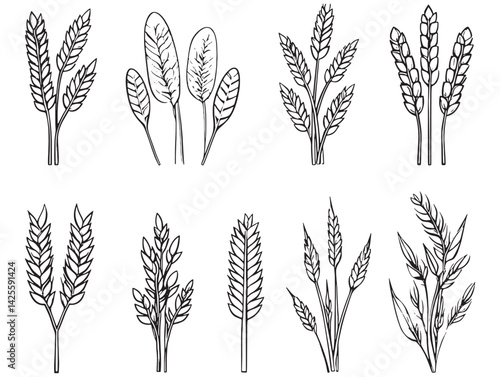 Stylized pearl barley botanical line art design