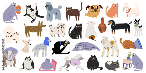 Cartoon cute cats and dogs character collection in various poses and different breeds. Funny domestic animals with happy charming playful expression
