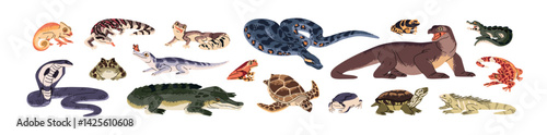 Set of reptiles. Amphibian and reptilian animals of jungle, rainforest. Tropical lizards, venomous snakes, boas, cobra, crocodiles, turtles. Exotic fauna. Flat isolated vector illustrations on white
