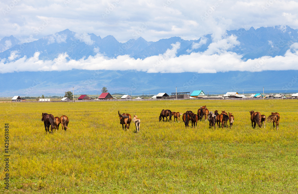 Summer mountain landscape with herd of horses on green meadow against backdrop of village in distance and mountains on sunny day. Siberia. Baikal region. Eastern Sayan. Buryatia. Tunka Valley. Arshan Summer mountain landscape with herd of horses on green meadow against backdrop of village in distance and mountains on sunny day. Siberia. Baikal region. Eastern Sayan. Buryatia. Tunka Valley. Arshan