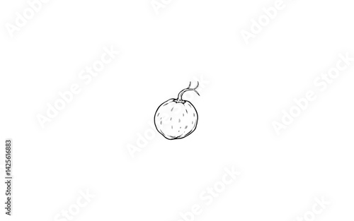 Air Potato Fruit – AI-Enhanced Vector of Round Bulbous Form with Natural Rough Texture"