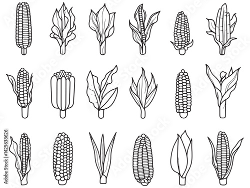 Sweet corn sketch vector for fresh food marketing
