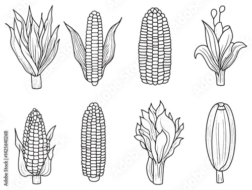 Sweet corn line art illustration for food design