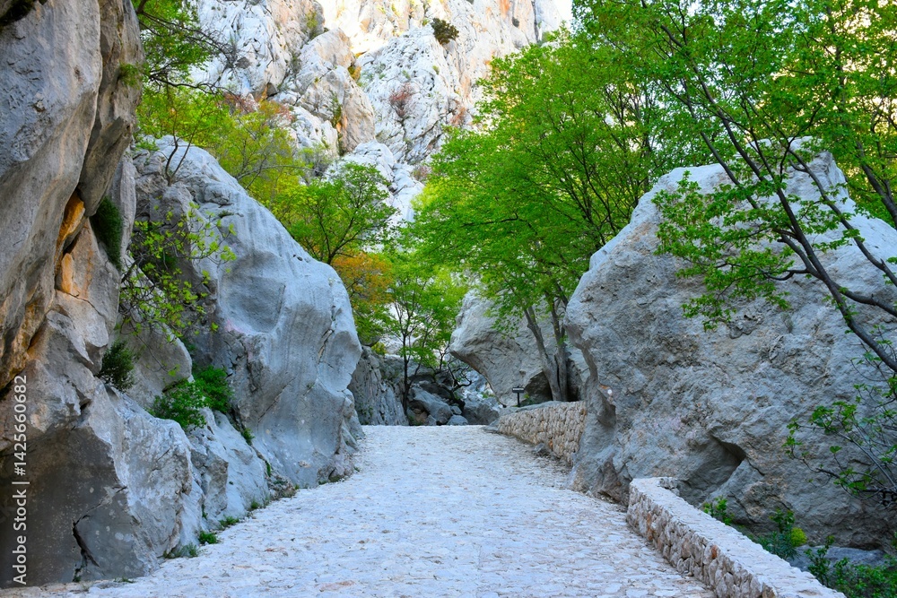 Footpath leading past boulders and trees in a gorge at Paklenica national park, Croatia