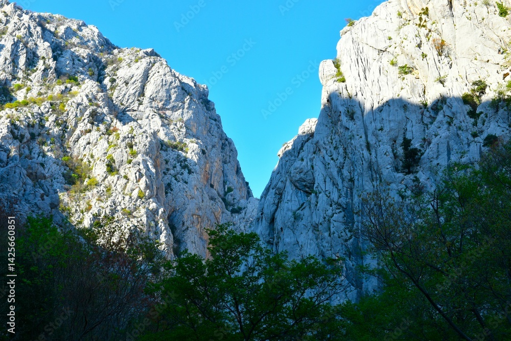 Rock cliff at the gorge in Paklenica national park, Croatia