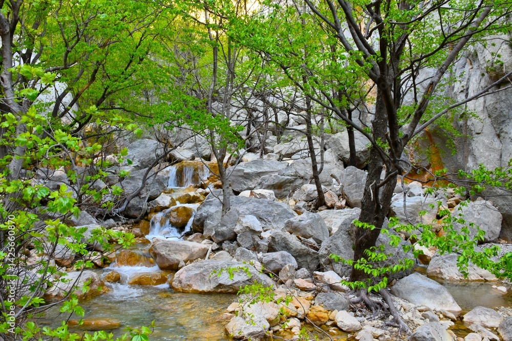 Stream flowing through a rocky landscape with trees in green foliage in Paklenica national park, Croatia