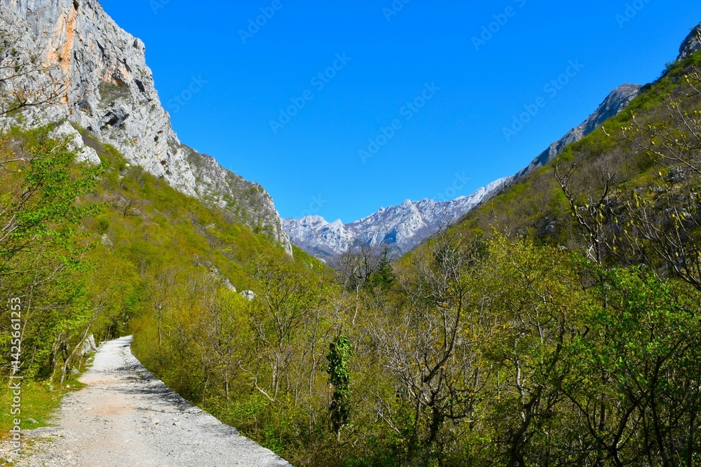 Hiking trail leading through a valley at Paklenica national park in Croatia with mountain peaks in the distance