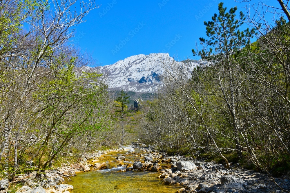 Paklenica stream flowing through a forest with a mountain peak in the distance in Paklenica national park, Croatia