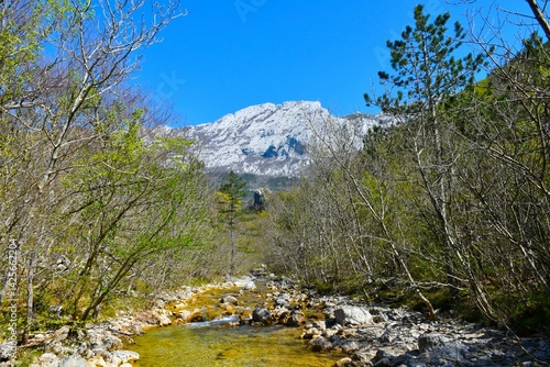 Obraz na płótnie Paklenica stream flowing through a forest with a mountain peak in the distance in Paklenica national park, Croatia w salonie