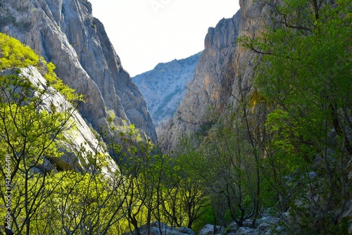 Cuadro en lienzo View of a gorge in Paklenica national park in Croatia