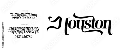 Elegant Script Font Swash Serif Display Typeface EPS