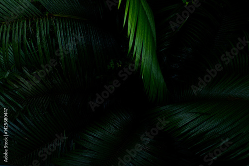 The lush rainforest, with textured leaves and a vibrant background, offered summer adventure and pure tranquility, embracing the beauty of nature and its rich environment.