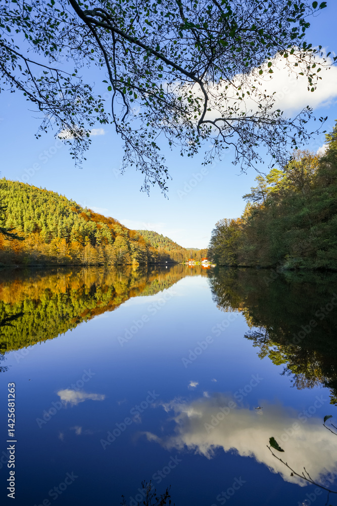 Obraz premium Landscape at the Seehofweiher pond in the Porzbach Valley. Waters along the Porzbach stream in the forest. Autumnal nature at the bathing lake. 