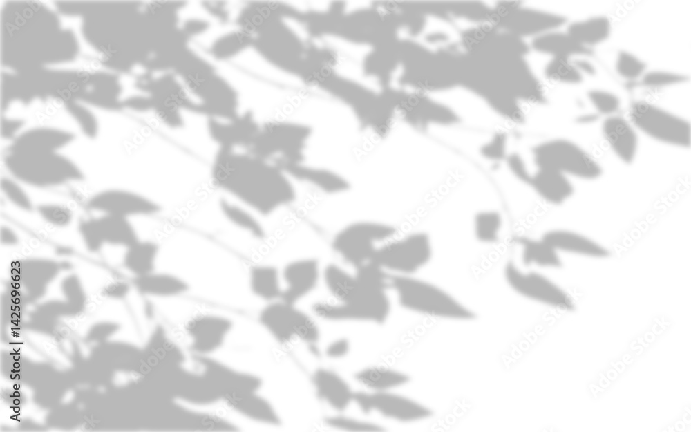 Realistic blurred leaf shadow effect isolated on transparent background. blur branch leaves shadow. Plant foliage silhouette. Nature design element for spring summer, mockup for product presentation Realistic blurred leaf shadow effect isolated on transparent background. blur branch leaves shadow. Plant foliage silhouette. Nature design element for spring summer, mockup for product presentation