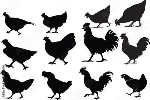 Silhouettes of chickens, black and white illustration, farm animals, poultry lineup, hen outlines, rooster shapes, fowl profiles, minimalist bird design, agricultural motif, rustic artwork, barnyard s