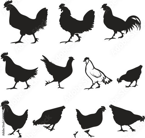 Silhouettes of chickens, black and white illustration, farm animals, poultry lineup, hen outlines, rooster shapes, fowl profiles, minimalist bird design, agricultural motif, rustic artwork, barnyard s