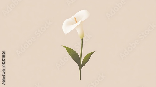 White Calla Lily Flower Illustration.