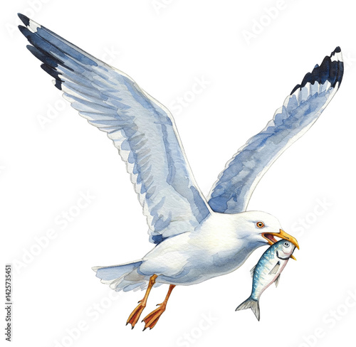 Flying seagull holding a fresh fish in beak, watercolour clipart illustration isolated on a transparent background