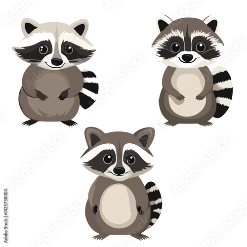 raccoon, animal, vector, transparent background, various