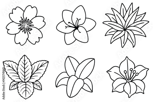 Tropic flowers alive with vivid colors line art