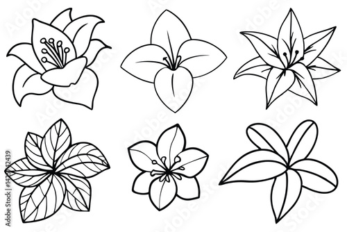 Tropic flowers flourishing in warm climates line art
