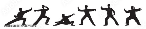 Tai Chi Vector Set