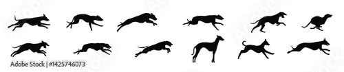 Whippet Silhouette