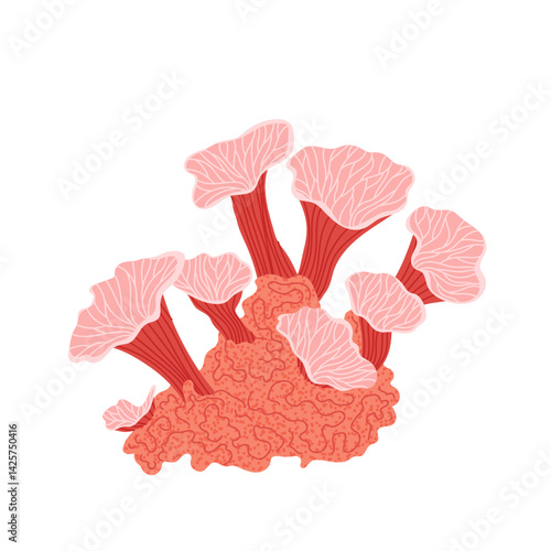 Red corral isolated on a white background. Diving. Coral reef, seabed, aquarium. Underwater ocean plant.