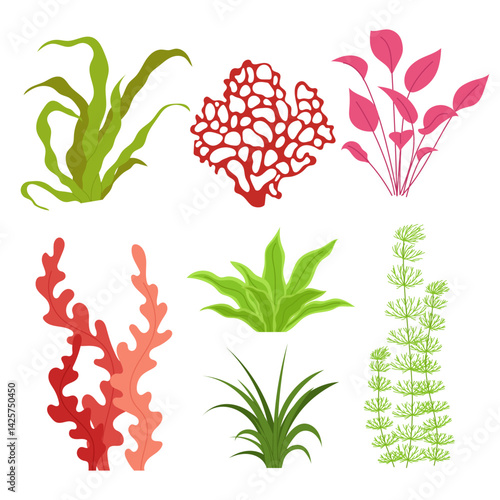 Set seaweed. Tropical underwater flora. Colorful underwater plant. Flat illustration of aquarium algae on a white background.