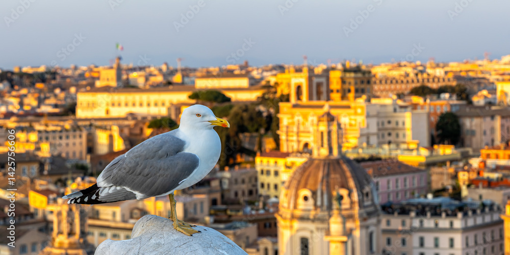 Seagull with skyline of Rome panorama in Italy