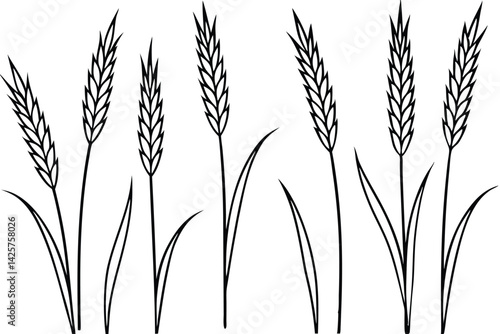 Timothy grass habitat facts and care tips line art