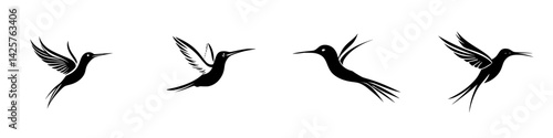 Black hummingbird icons in various poses showcasing flight and movement against a minimalist background