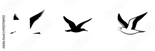Black icon set featuring various bird silhouettes in flight over a simple background