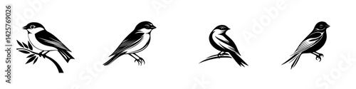 Set of black icons featuring various stylized birds perched on branches, showcasing their unique forms and characteristics