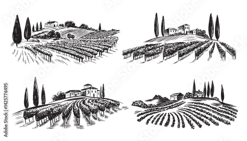 Vineyard landscape set on white, hand drawn	
