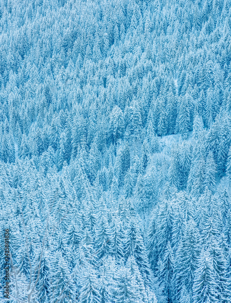 schnee schnee