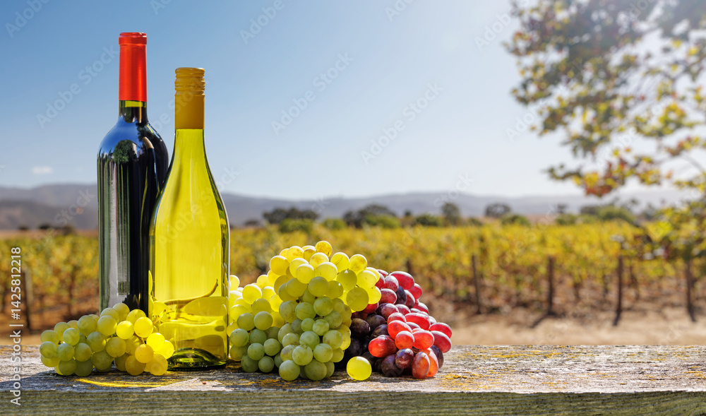 Fototapeta premium Red and white wine bottles with a grape basket, set against a picturesque vineyard landscape
