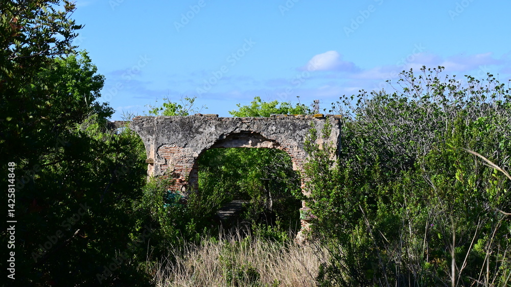 Montigala Montigala