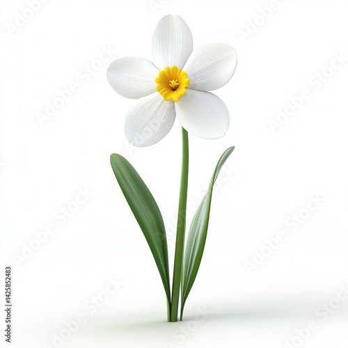 A beautiful Narcissus Minnow flower 3d Clipart, isolated on a white background