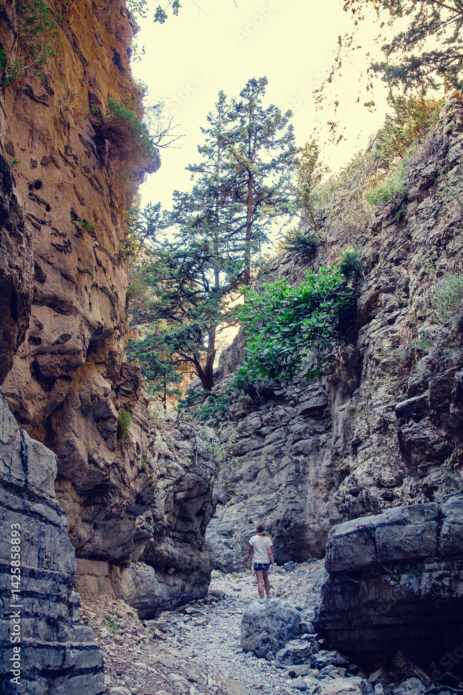 Exploring a narrow canyon with rugged rock formations and lush greenery