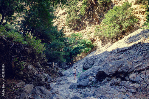 Hiking through a scenic rocky trail in a peaceful forested canyon