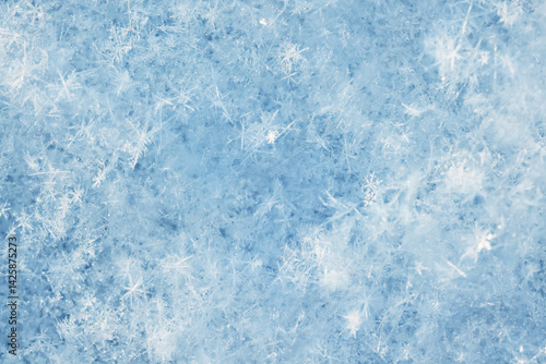 Wallpaper Mural winter snow texture, blue abstract winter cold background snow surface, blurred backdrop Torontodigital.ca