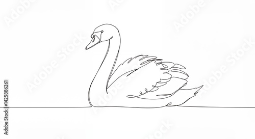 Fototapeta Naklejka Na Ścianę i Meble -  Elegant black and white line drawing swan