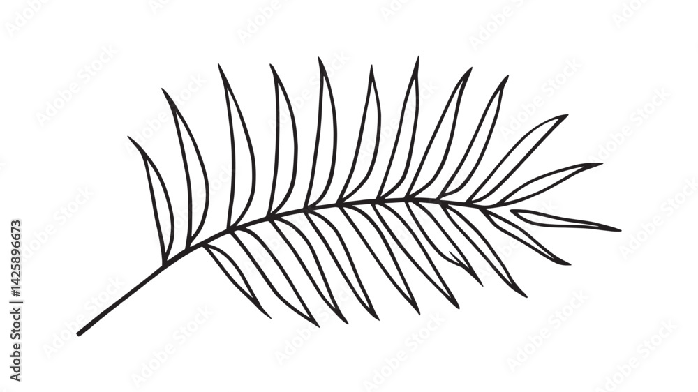 Obraz premium Coconut palm leaf line art illustration tropical botanical design minimalist style