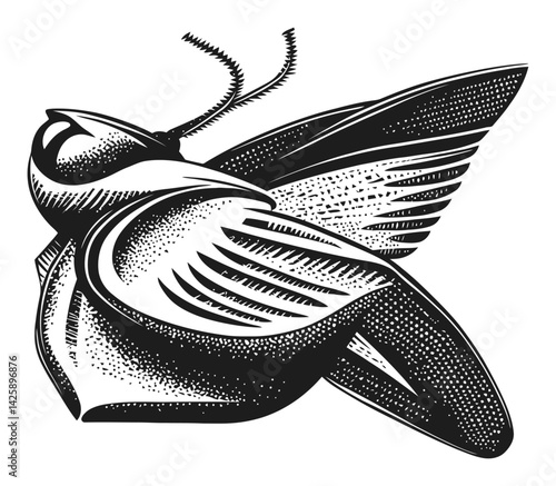 Hand-Drawn Illustration of a Stylized Flying Insect with Wings