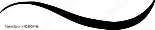 Calligraphic Flourish with Smooth Curve