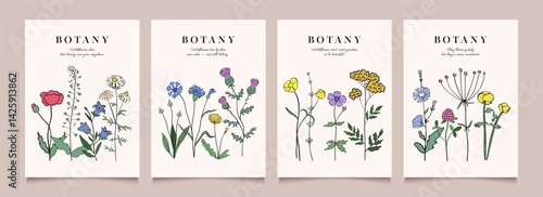 Flower and herb icon poster design. Abstract lines and plant elements. Minimalist botanical vector art. Modern backgrounds. Hand drawn illustration.