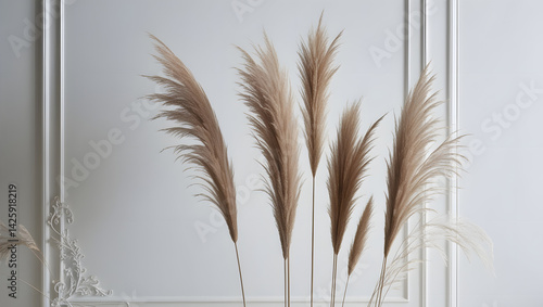 Obraz na płótnie Delicately textured, feathery plumes of ornamental grasses, varying in height and shape, stand upright against a crisp, stark white background, evoking a sense of serenity and elegance, accompanied w salonie