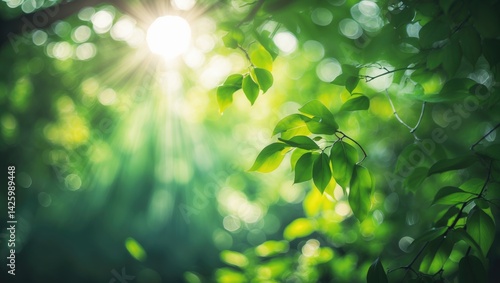 Blurred rays of sunlight shining through trees in a summer garden with leaves, capturing the natural sunlight concept and nature background.
